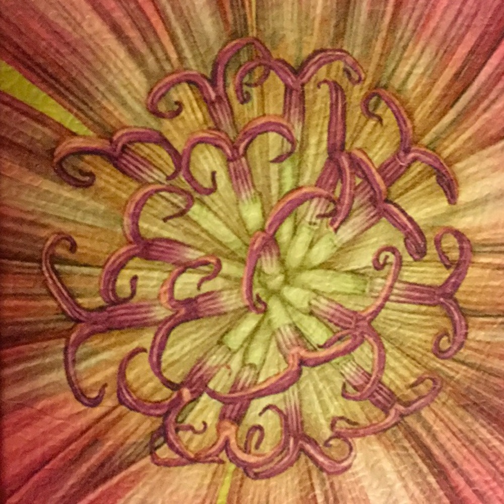 Meet your Posher, Annette